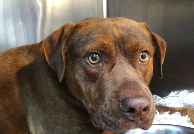 multimedia-foto49690-127-1