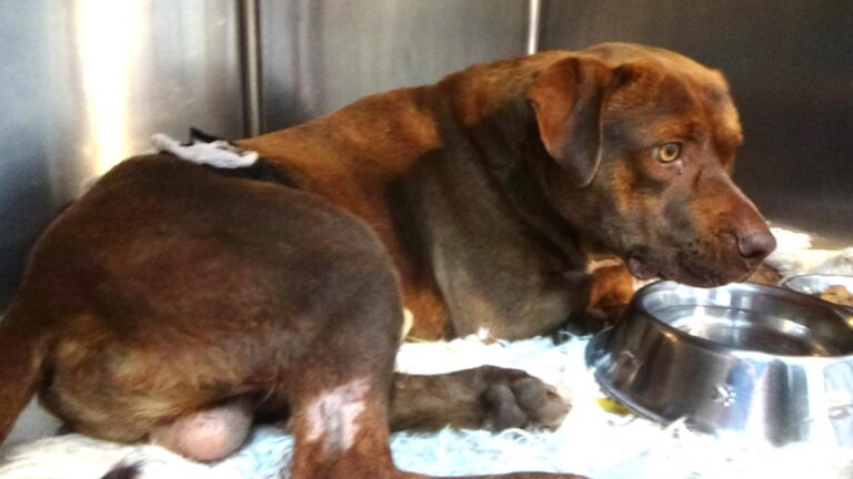 multimedia-foto49691-128-1