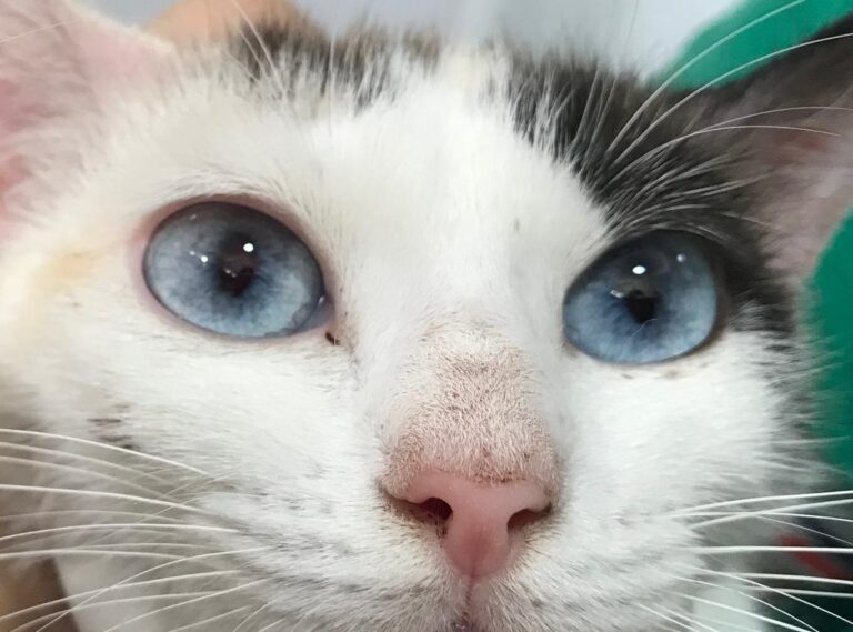 multimedia-foto49693-292-1