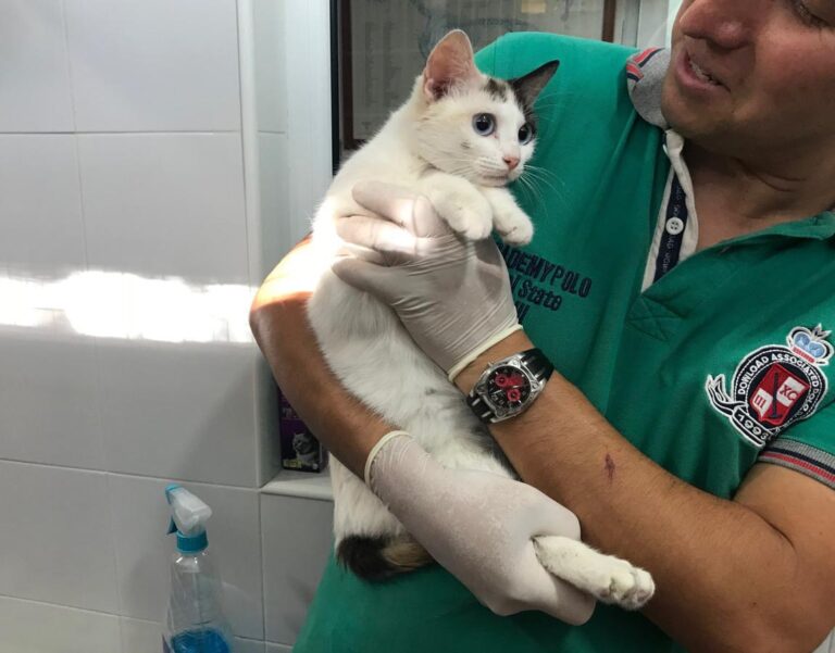 multimedia-foto49698-294-1