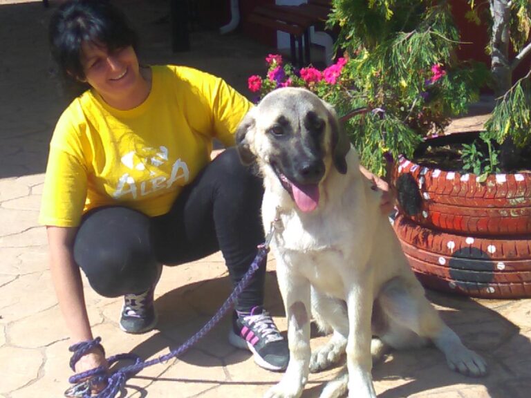 multimedia-foto49708-805-1