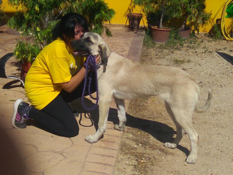 multimedia-foto49709-805-1