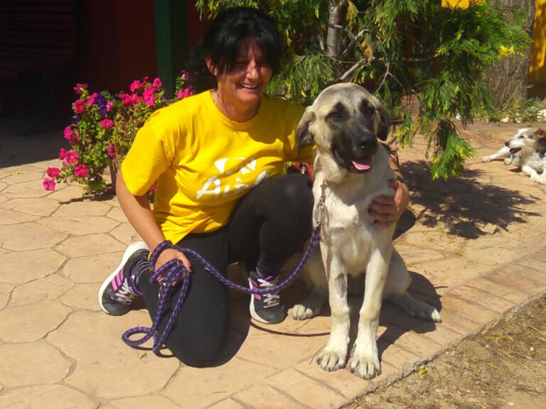 multimedia-foto49710-805-1