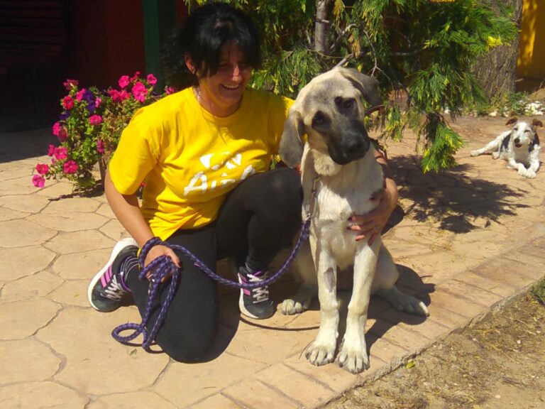 multimedia-foto49711-806-1