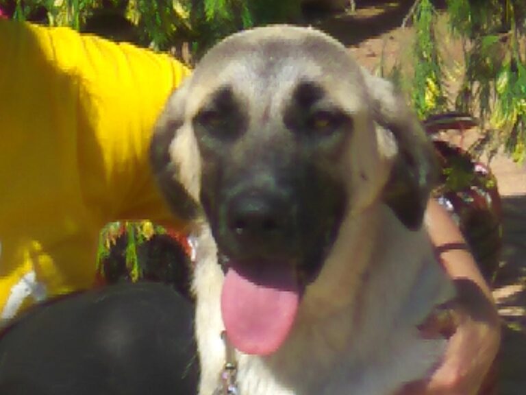 multimedia-foto49712-806-1