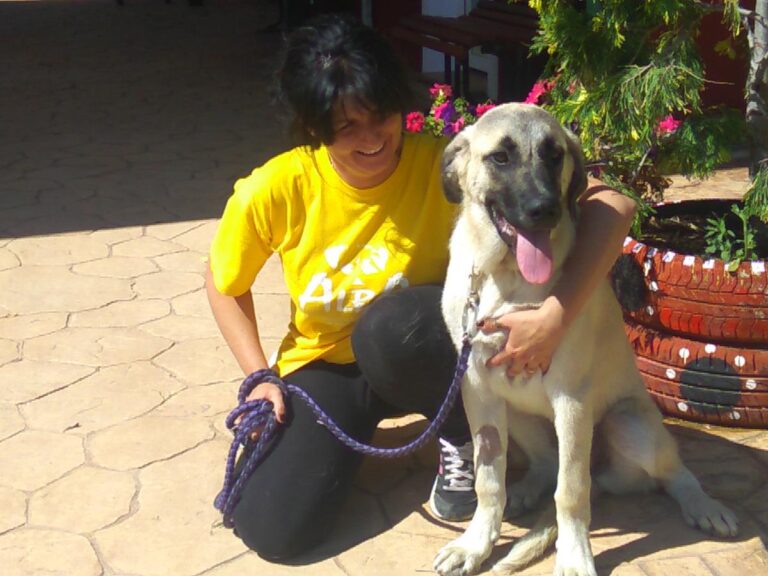 multimedia-foto49713-806-1