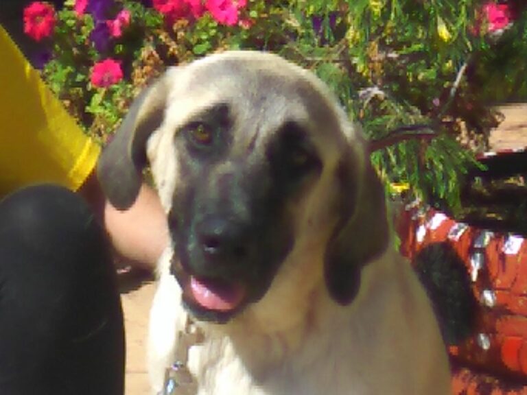 multimedia-foto49714-806-1