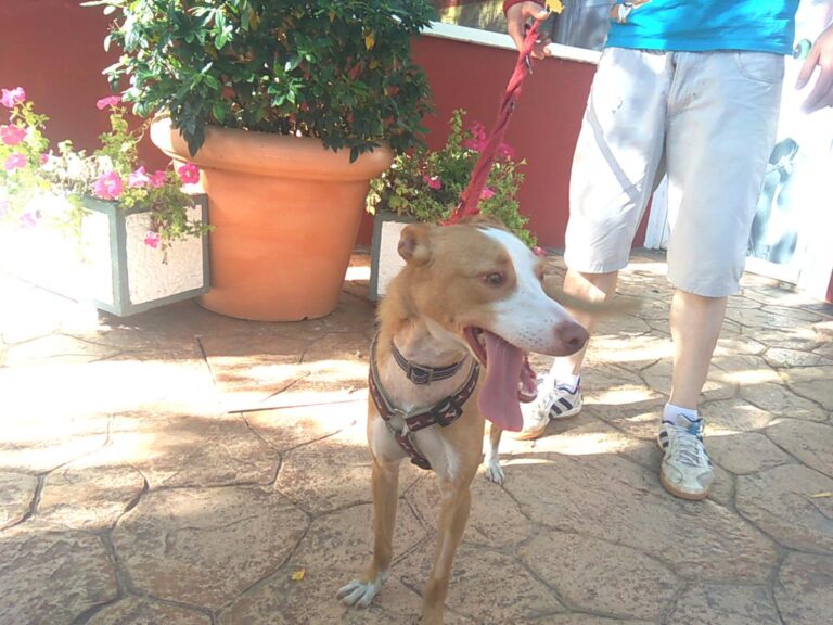 multimedia-foto49741-353-1