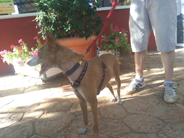 multimedia-foto49742-353-1