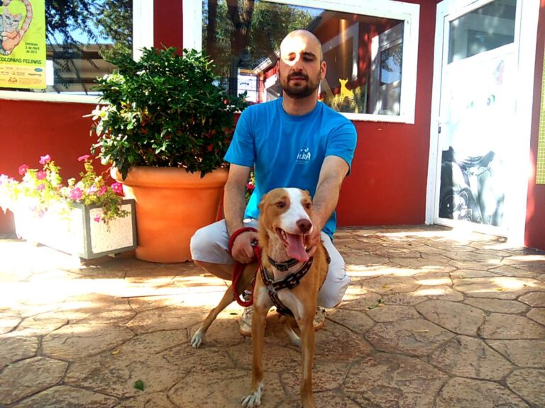 multimedia-foto49743-353-1