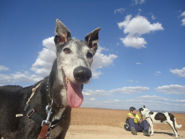 multimedia-foto49758-180-3