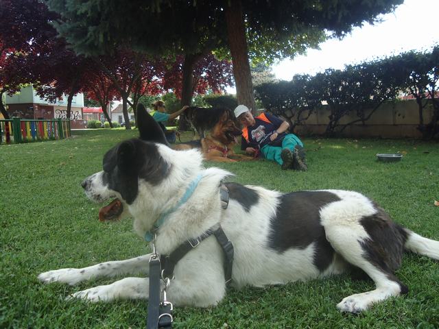 multimedia-foto49763-249-3