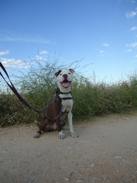 multimedia-foto49764-291-3