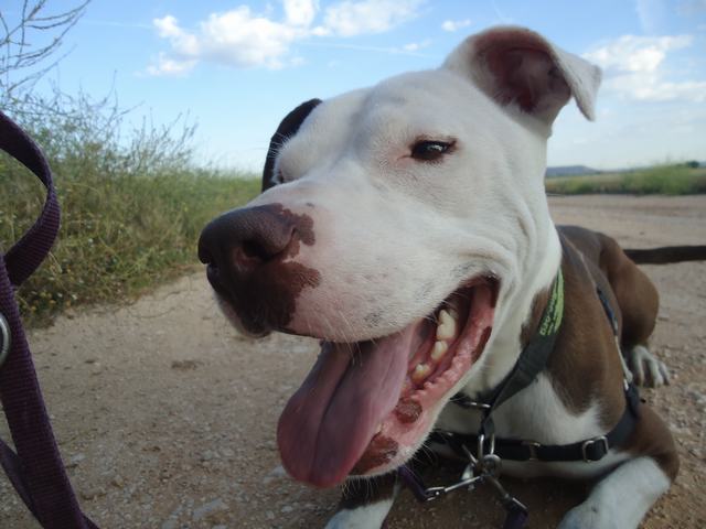 multimedia-foto49765-291-3