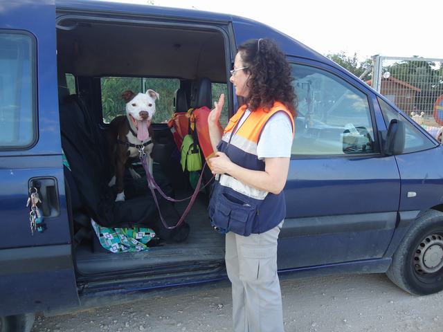 multimedia-foto49766-291-3