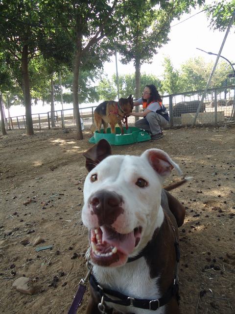 multimedia-foto49767-292-3