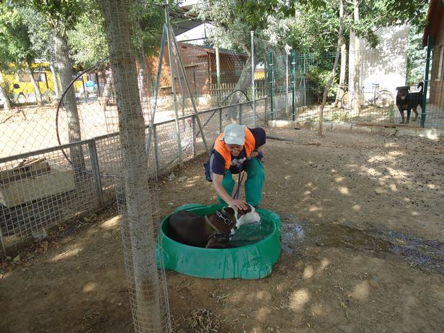 multimedia-foto49768-292-3