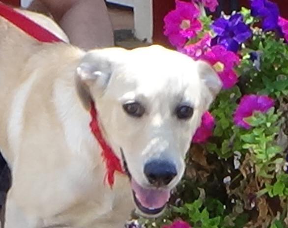 multimedia-foto49788-74-1