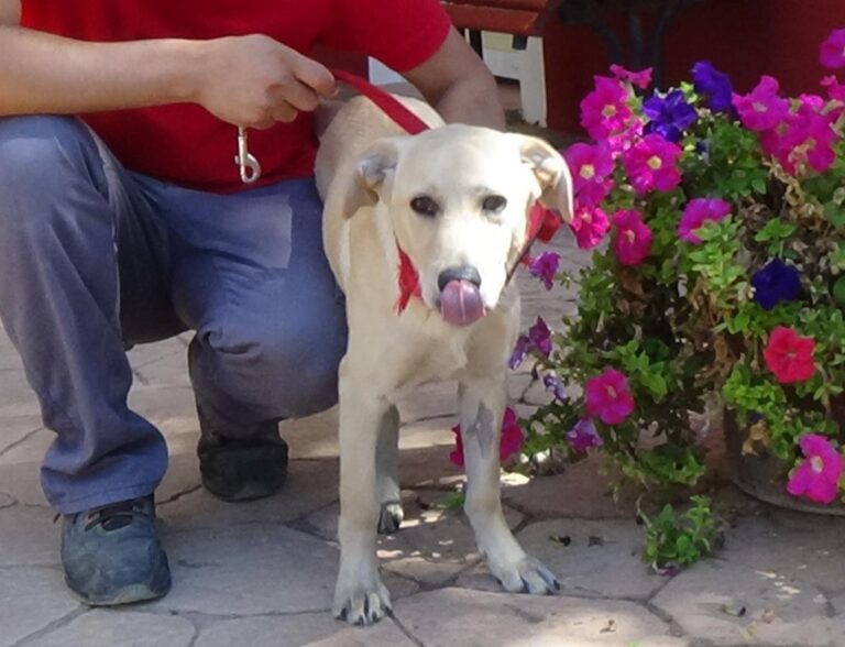 multimedia-foto49790-74-1