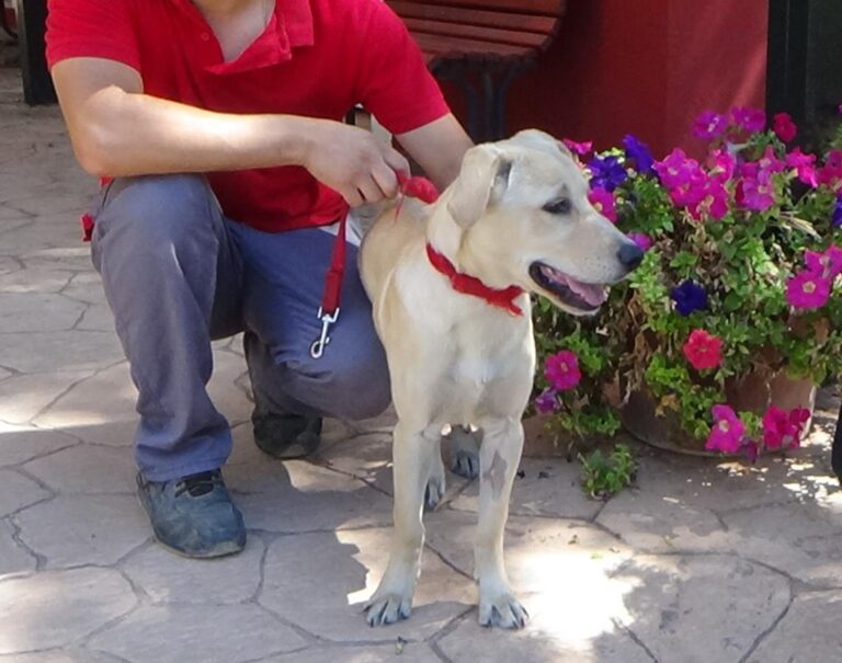 multimedia-foto49791-75-1