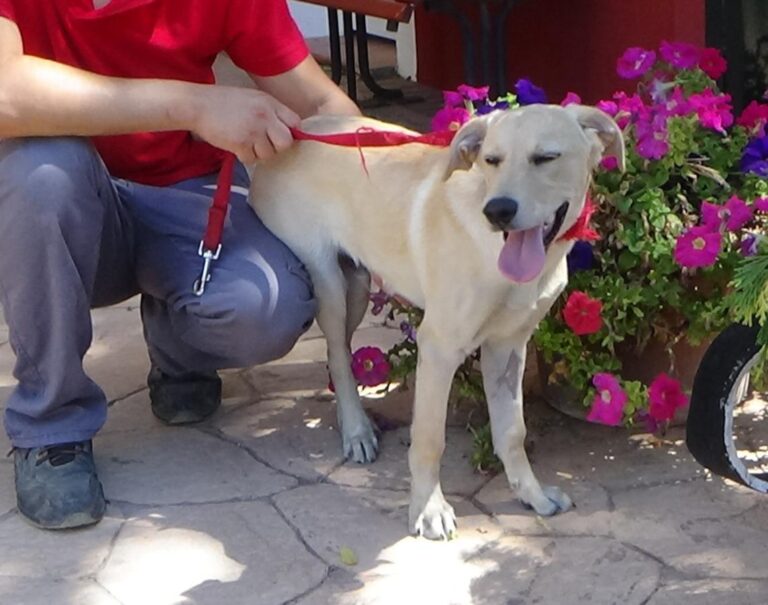 multimedia-foto49792-75-1