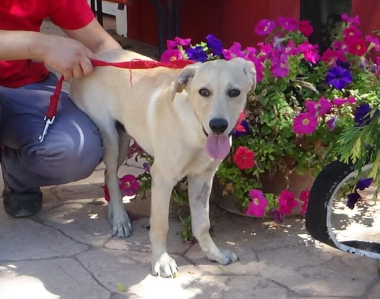 multimedia-foto49793-75-1