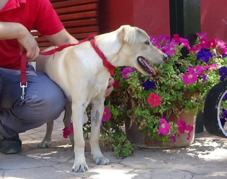 multimedia-foto49795-76-1