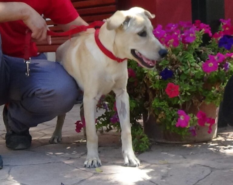 multimedia-foto49796-100-1