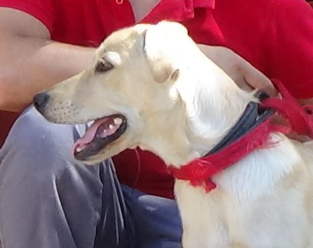 multimedia-foto49797-101-1