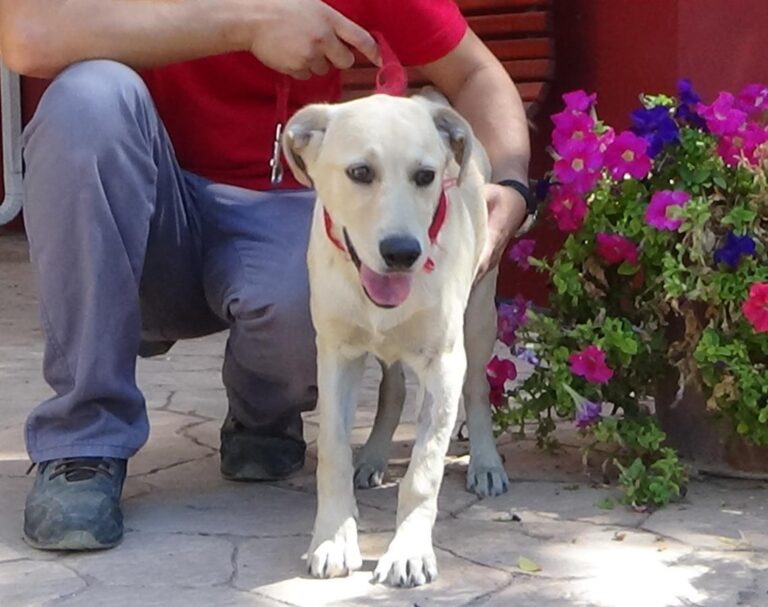 multimedia-foto49798-101-1