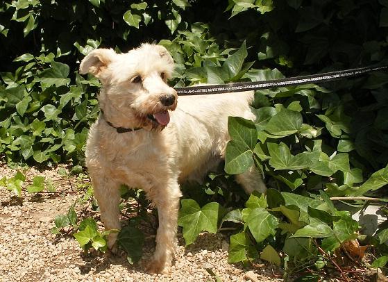 multimedia-foto49810-608-1