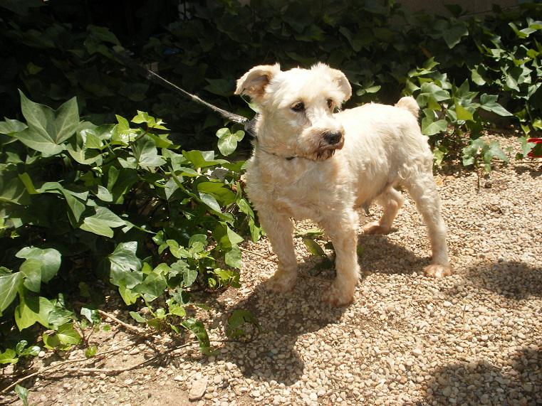 multimedia-foto49811-608-1