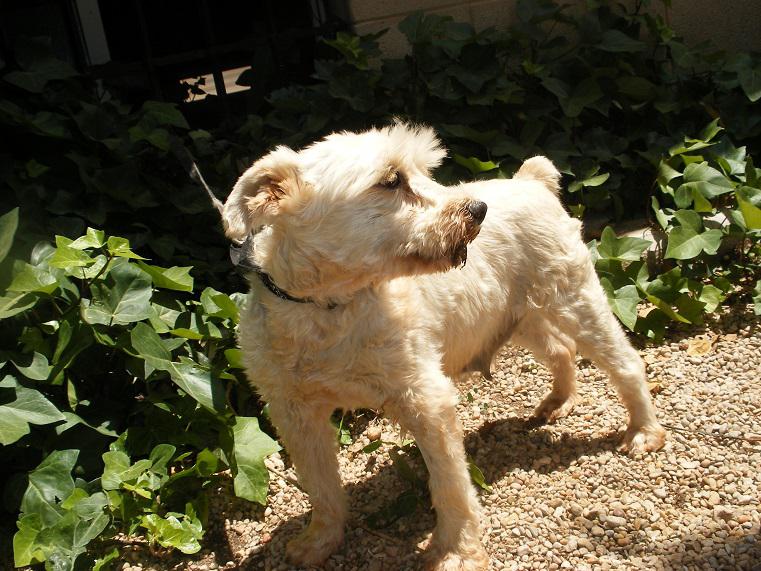 multimedia-foto49812-609-1