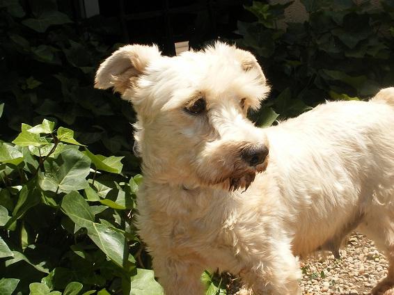 multimedia-foto49813-609-1