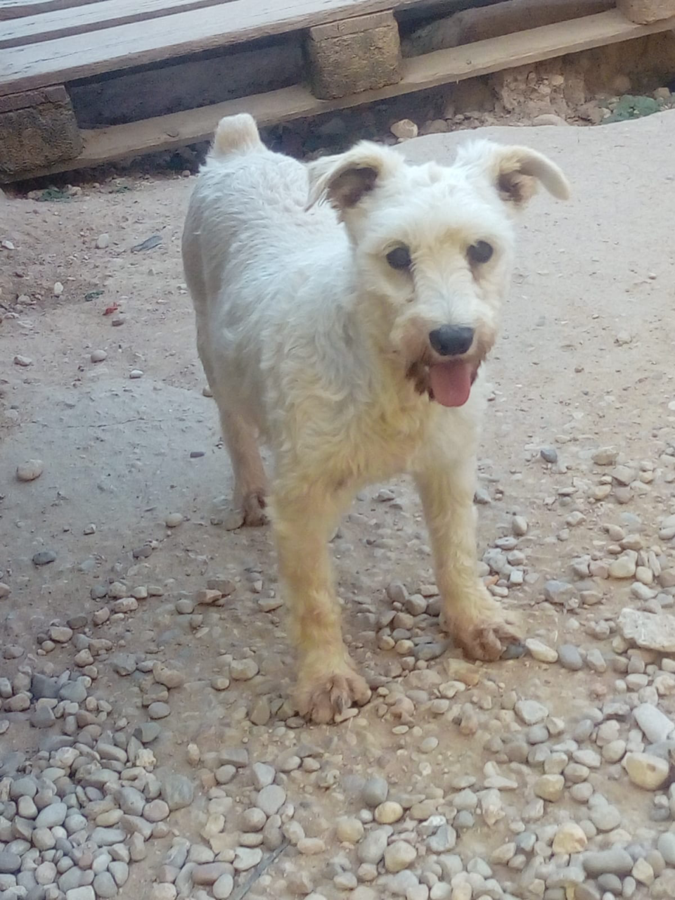 multimedia-foto49814-609-1