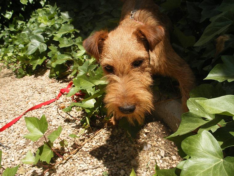 multimedia-foto49831-882-1