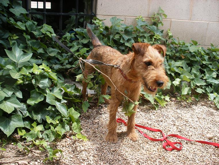 multimedia-foto49833-882-1