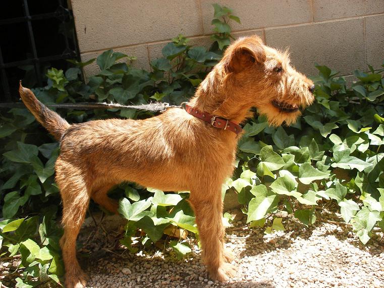 multimedia-foto49834-882-1