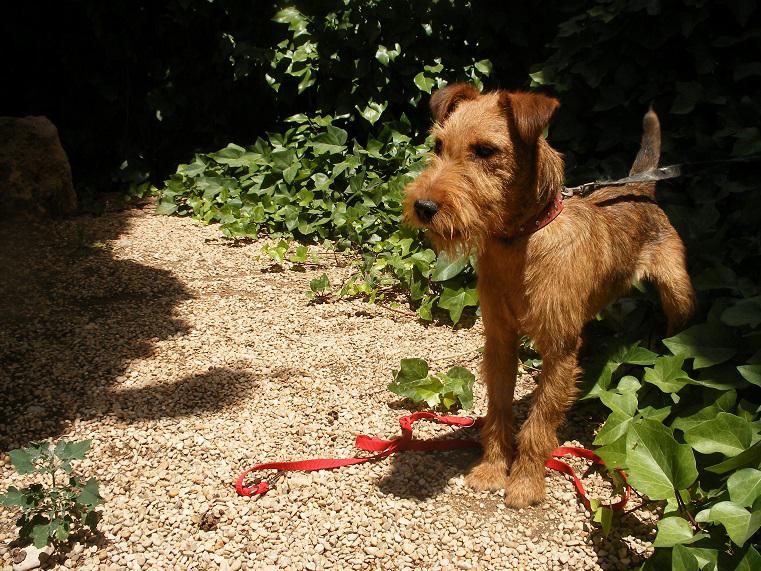 multimedia-foto49835-883-1