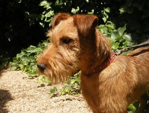 multimedia-foto49836-883-1