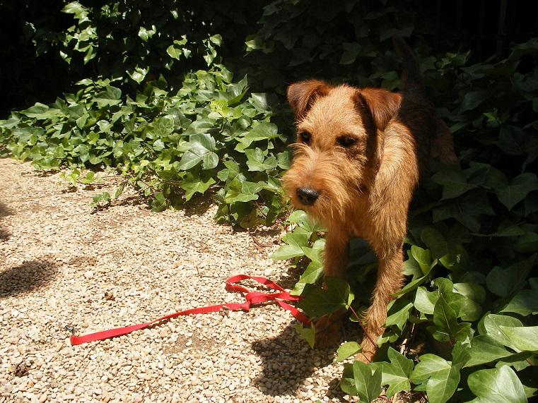 multimedia-foto49837-883-1