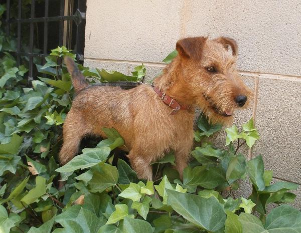 multimedia-foto49838-883-1