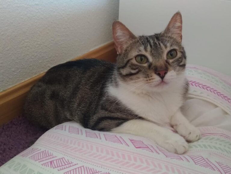 multimedia-foto49849-571-1