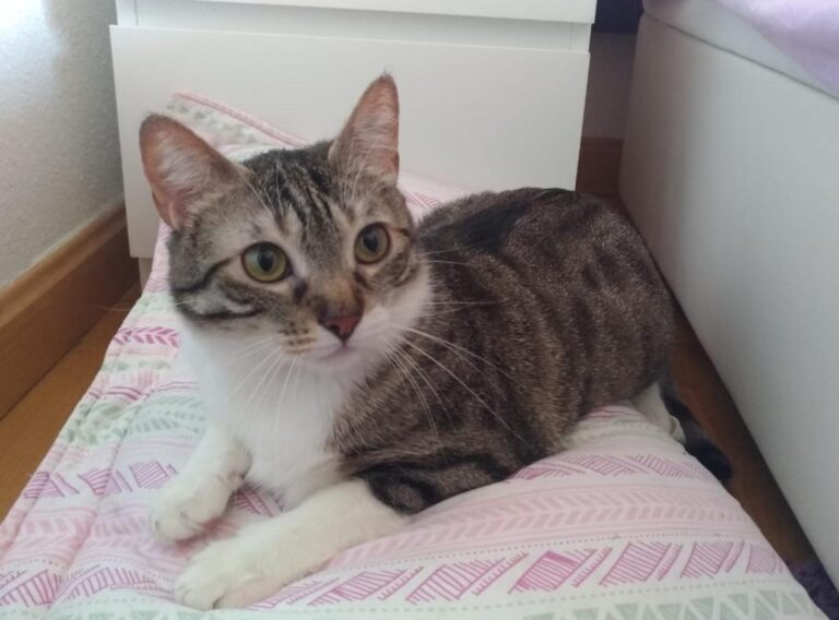 multimedia-foto49853-572-1