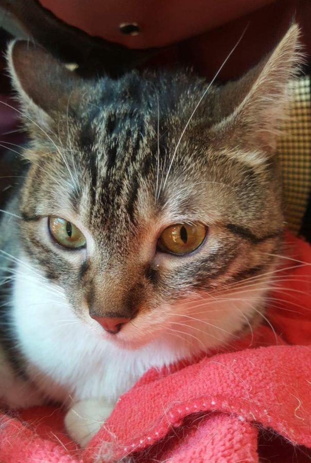 multimedia-foto49857-573-1