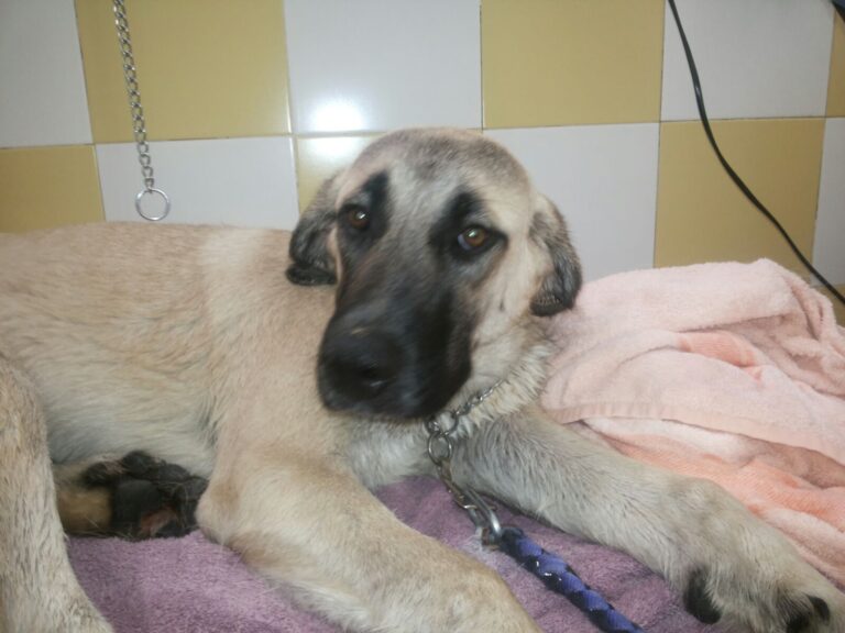 multimedia-foto49858-196-1