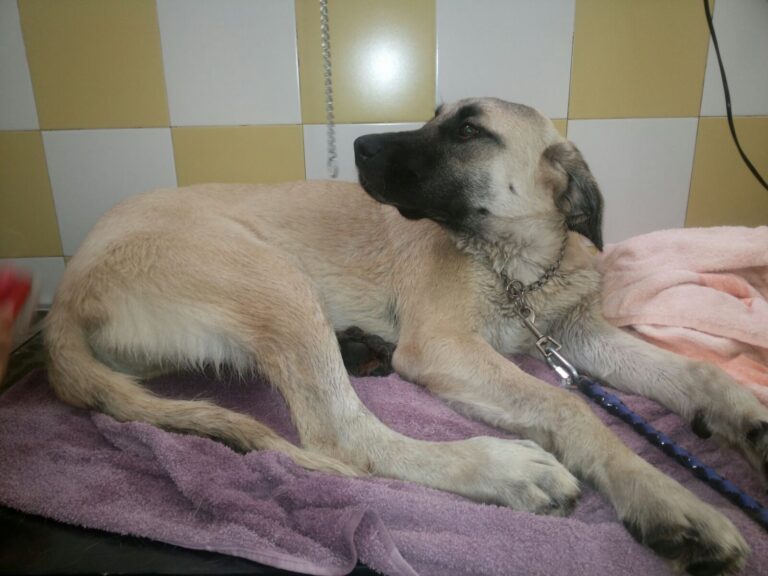 multimedia-foto49859-197-1