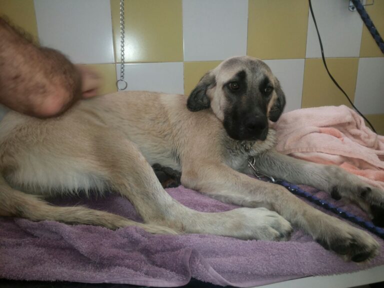 multimedia-foto49860-197-1