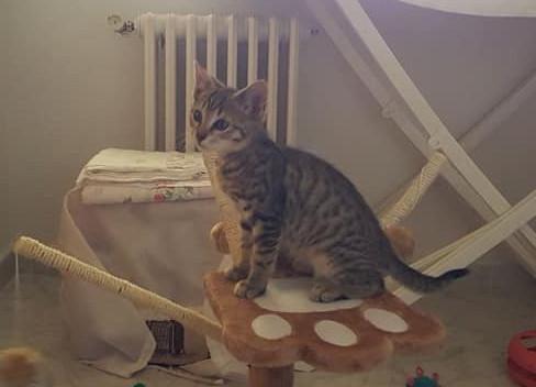 multimedia-foto49866-646-1