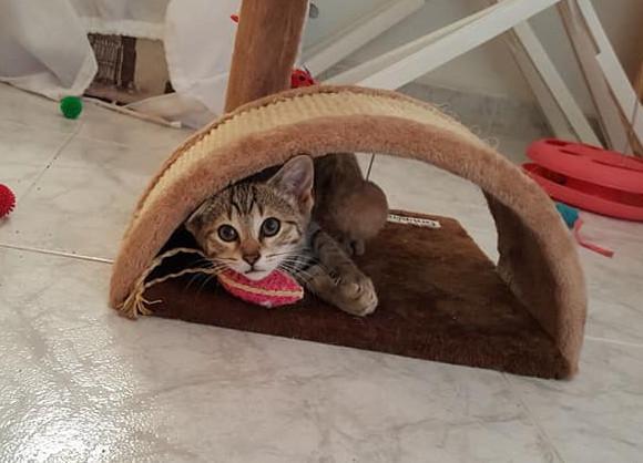 multimedia-foto49867-646-1